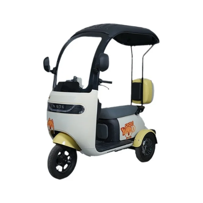 Hot Selling High Standard Top Quality Electric 3 Wheels Cargo Passenger Electric Tricycle Electric Bike for Family Use