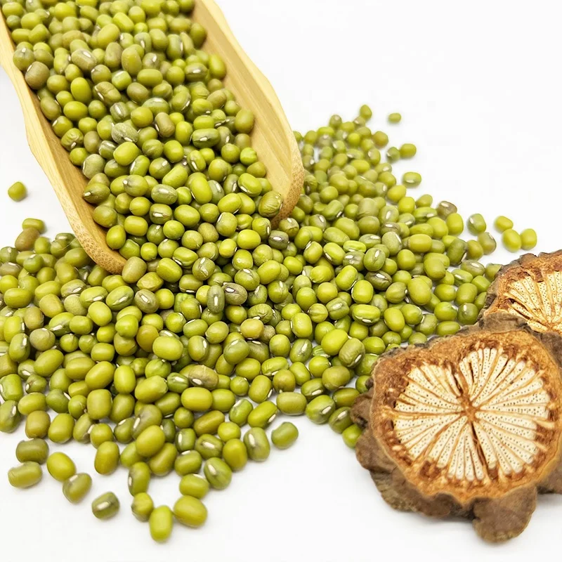 Bigger Size Cheap Top Quality Dried Green Mung Beans China Price