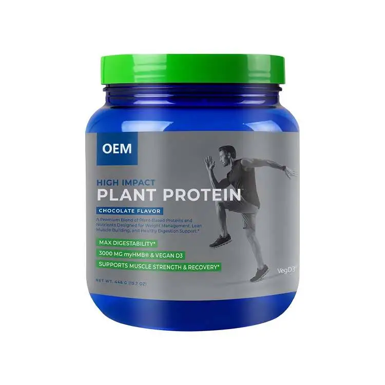Organic Vegetarian Protein Powder Plant Organic Rice Vegan Organic Protein Powder