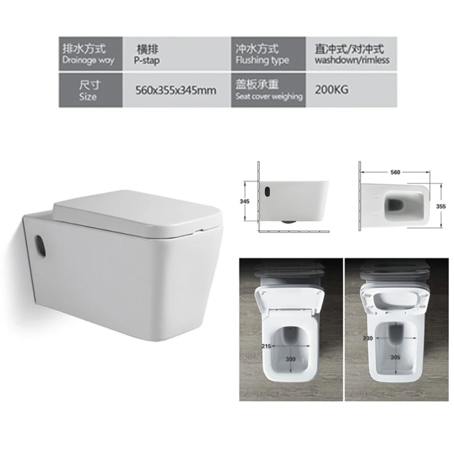Sanitary Wares Manufacturer Ceramic Rimless One Piece Wall Hung Installation Seat WC Toilet