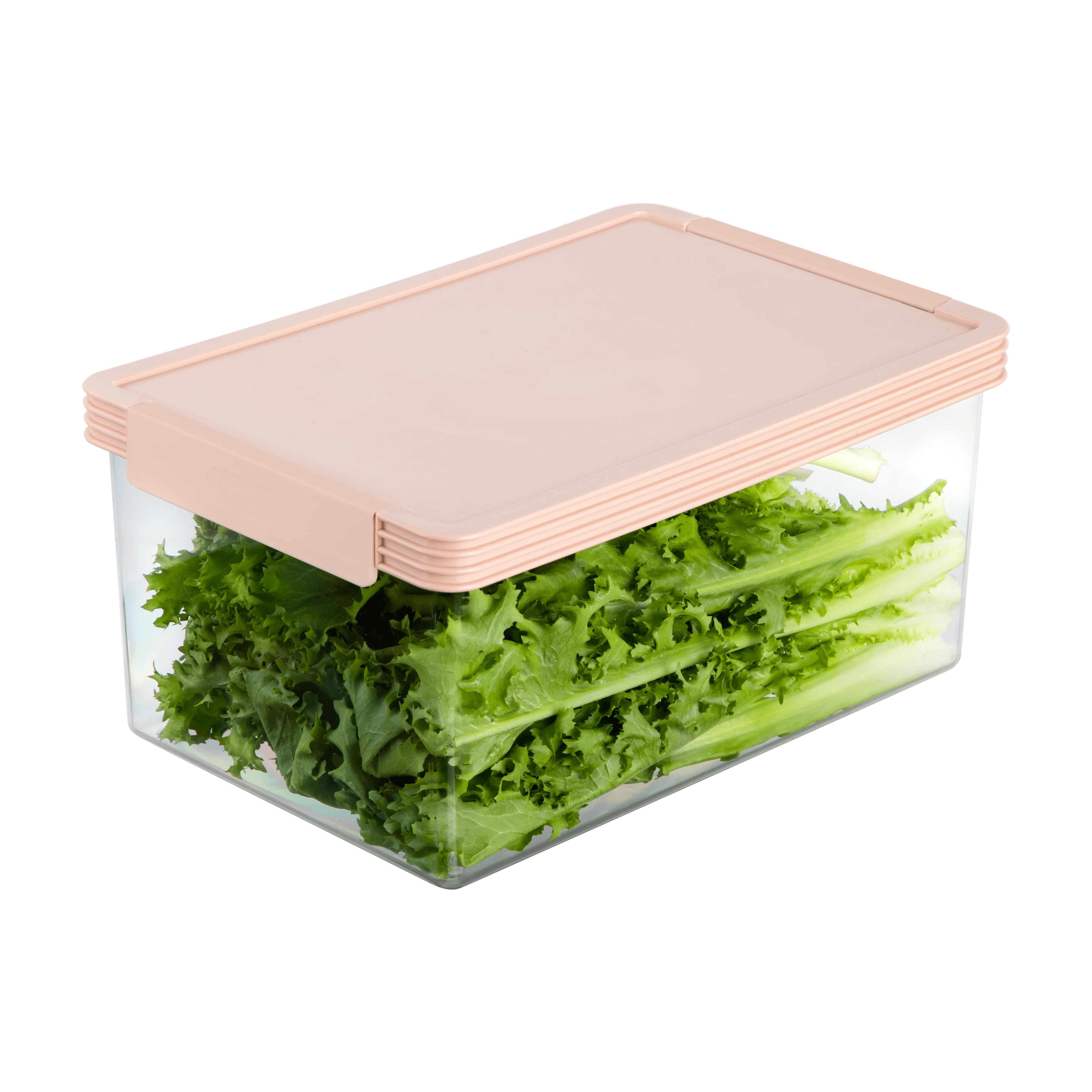 Set of 3 Hokkaido tritan rectangular container 500-1000-2000ml Modern Design style Clear body, colored lid Structure