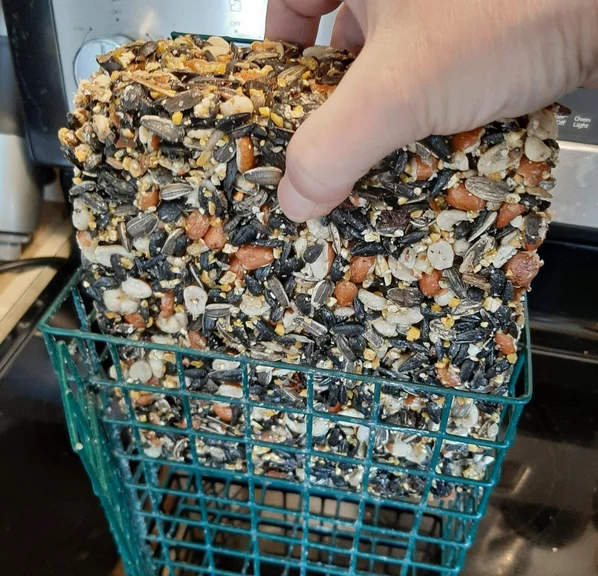 dried mealworms cake2.png