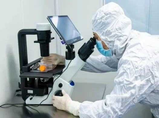 
In Stock USA warehouse supply raw Material API Powder Tofacitinib citrate CAS 540737-29-9 global fast delivery 