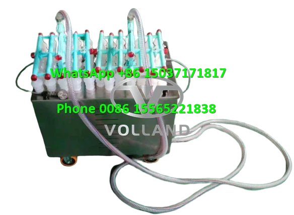 duck egg sorter machine/10000pcs per hour egg grader classifier/electronic egg sorting machine