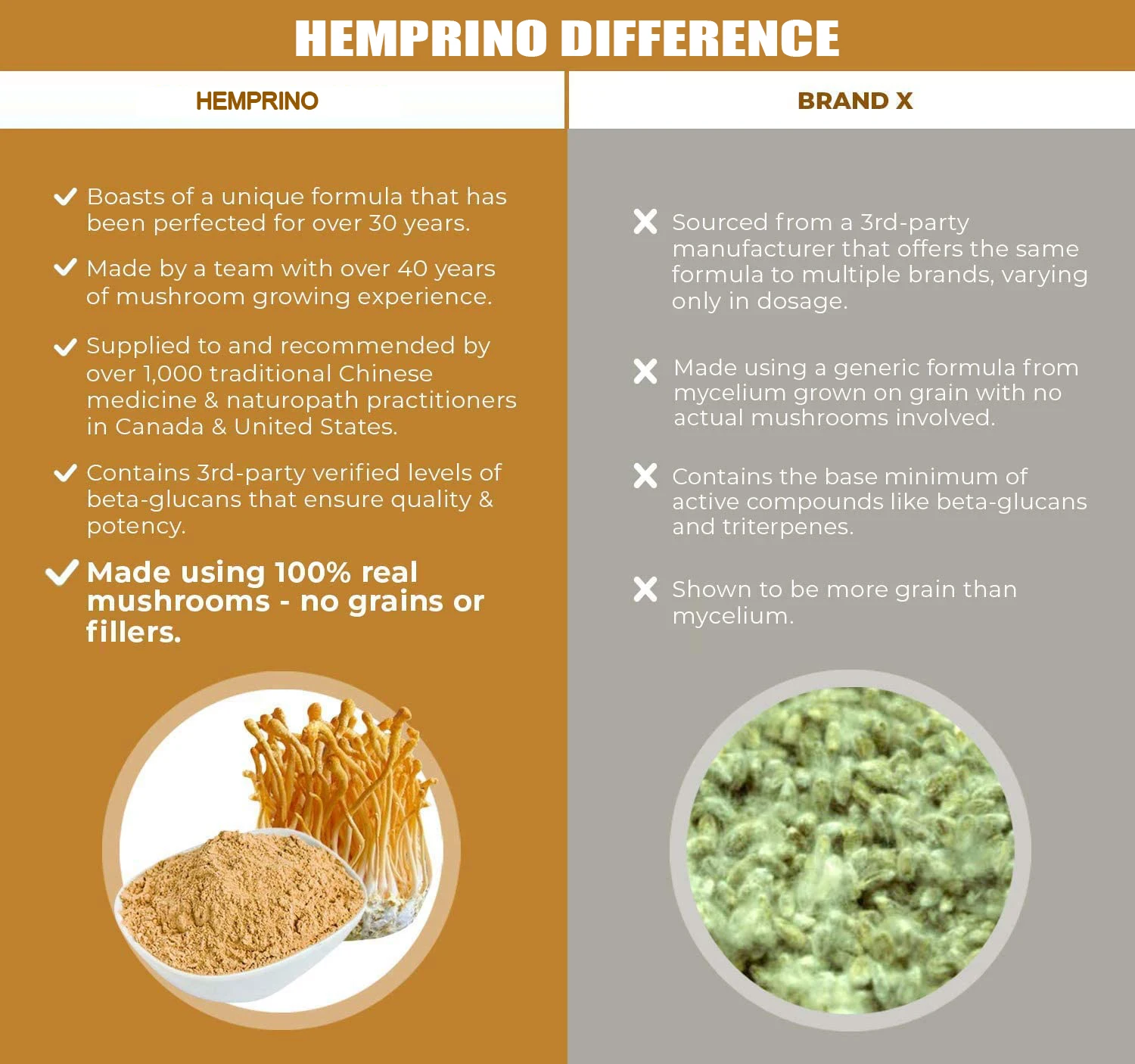 Non-GMO Cordyceps Performance Mushroom Extract Powder Supplement capsules Improve Energy and Endurance