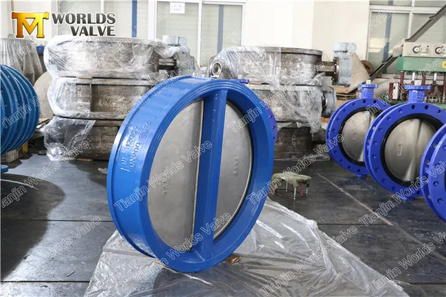 2 inch  cast iron plate one way  non return check valve