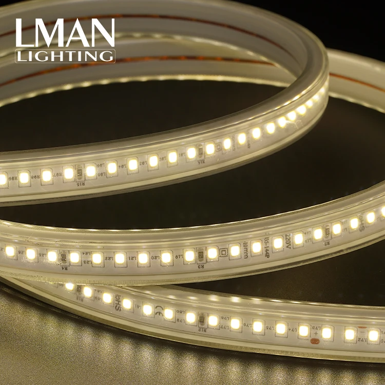 High Brightness Commercial Building Bridge Outdoor Decoration Ip65 Waterproof Ac 110V 220V Smd 2835 Flexible Led Strip Light