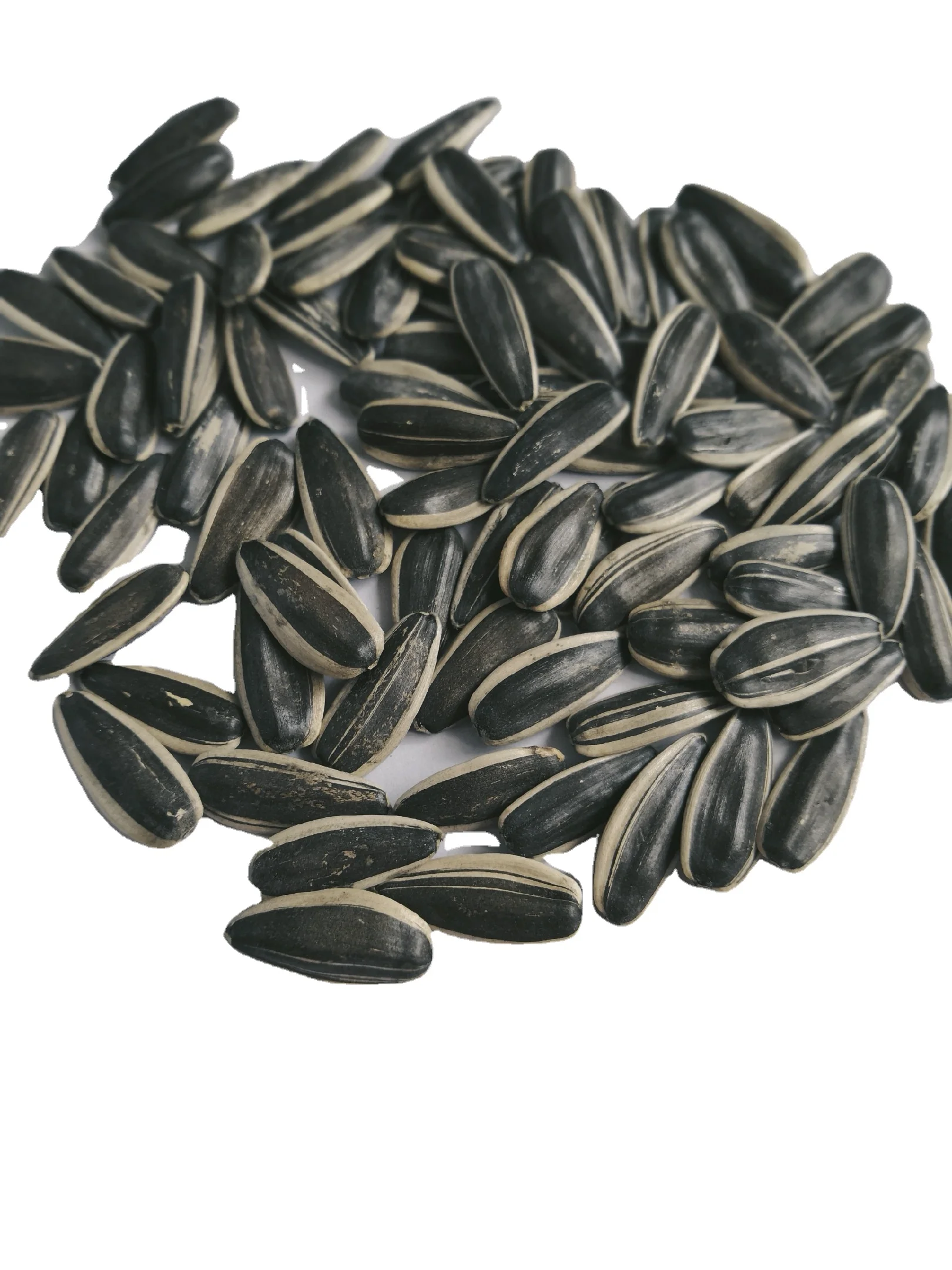Wholesale High Quality Raw Agricultural Sunflower Raw Seeds Cheap Organic Sunflower Seeds