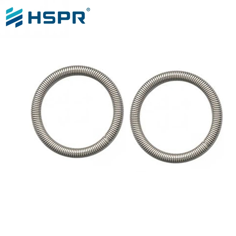Huihuang Factory Supply  OEM Elastic Stainless Steel Circle Oil Seal Circle Shape O ring Garter Spring