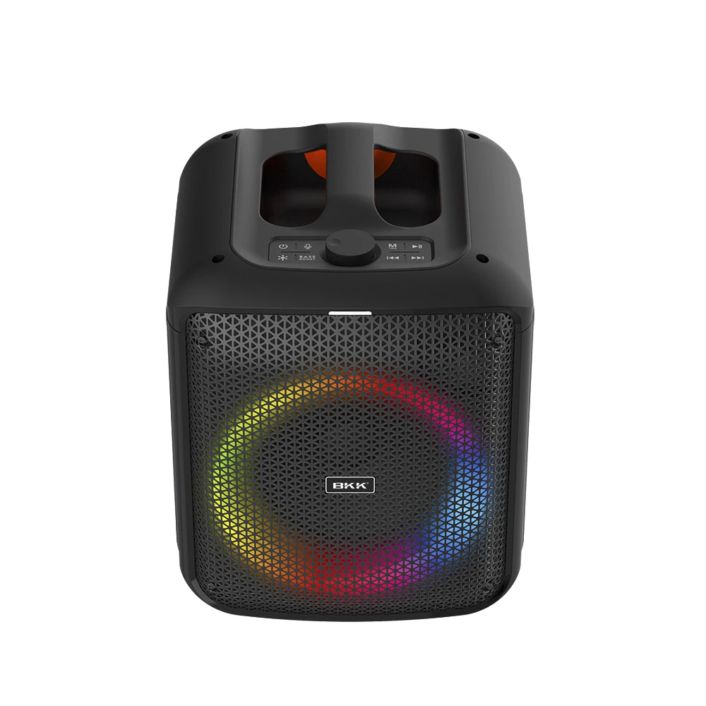 OEM Sound Box Speaker Professional 6.5 inch Portable Speaker Dance Outdoor Portable Audio Music Rgb Party Box Speaker