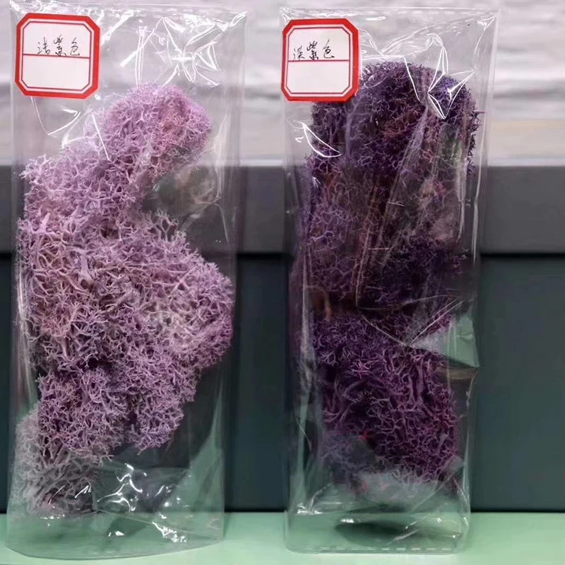 
Chinese supplier new products preserved Moss flower for Wall decoration 