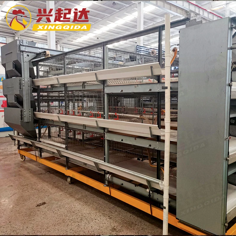 Chicken Farming a Type H Cage Chick Rearing Cages Safe