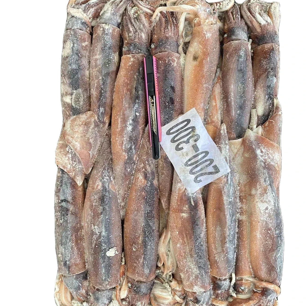 Аргентинский кальмар/замороженный иллекс кальмар