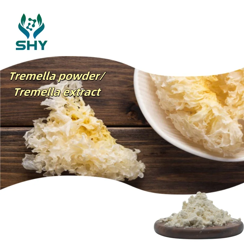 Organic Certificate Tremella fuciformis (snow fungus) extract/Tremella Extract Powder/Tremella Powder