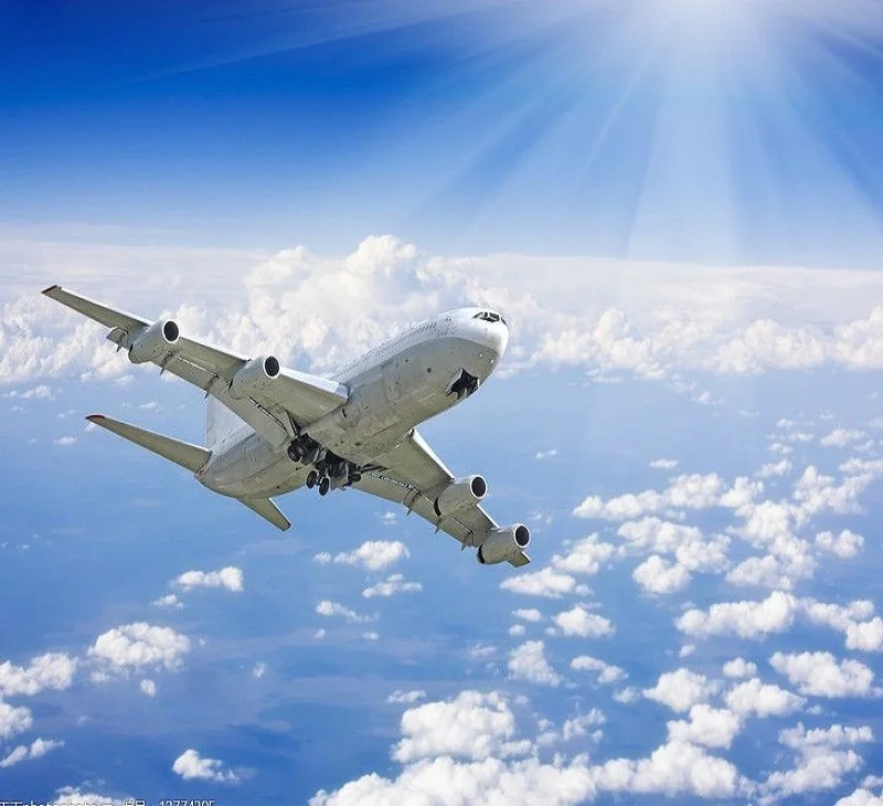 Cargo Transport From Qingdao To Hague Malaysia/singapore/thailand/korean Top Sea/air Freight Forwarder