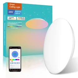Color Gift Box 12 Inch Ultrathin flush mounted Smart Ceiling Light 24W Dimmable Round Led RBG Lamp