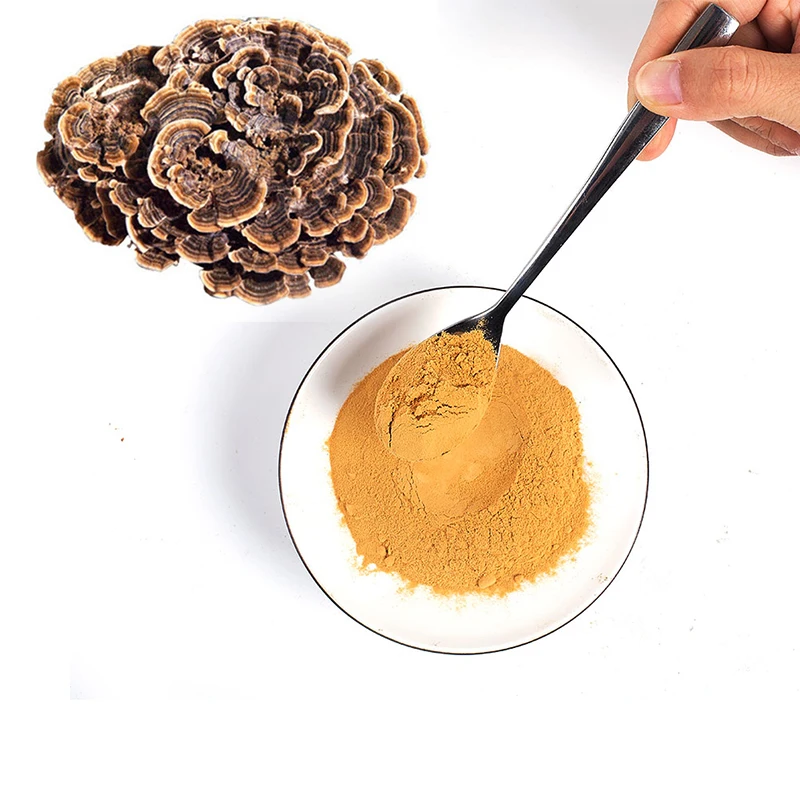 Plant Extract Nutritional Supplement Coriolus Versicolor Organic High Quality Pure Turkey Tail Mushroom Extract