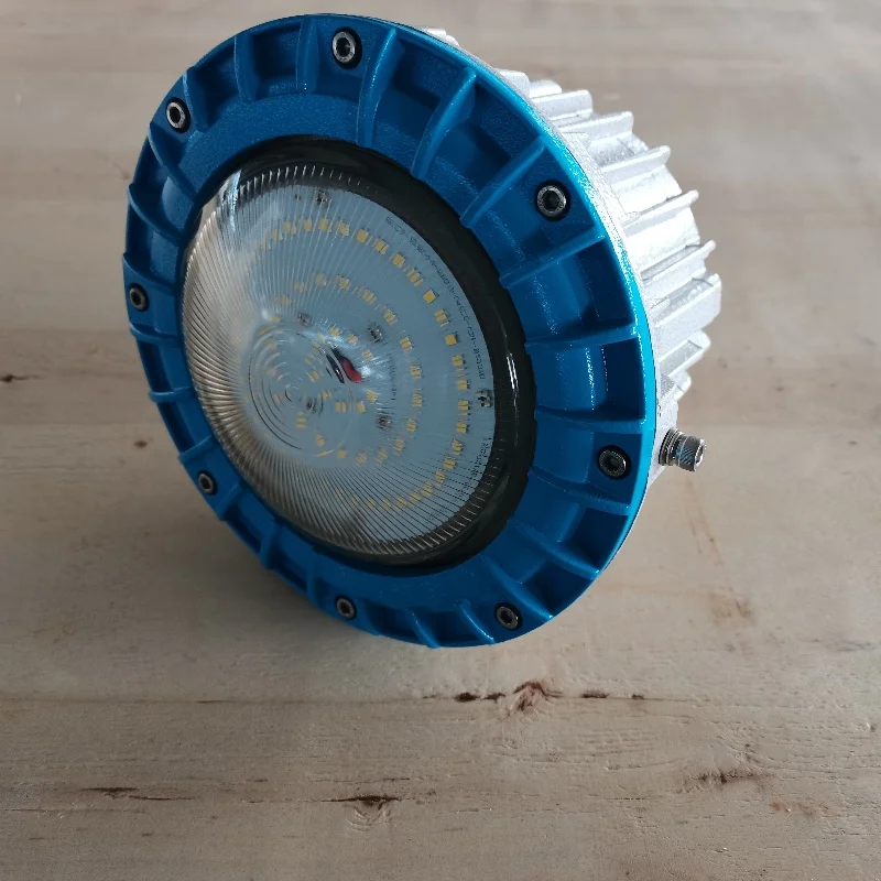 Ex Light 30W Explosion-Proof Wall Light Corrosion Proof Hazardous Explosion-Proof Lights for Lacations