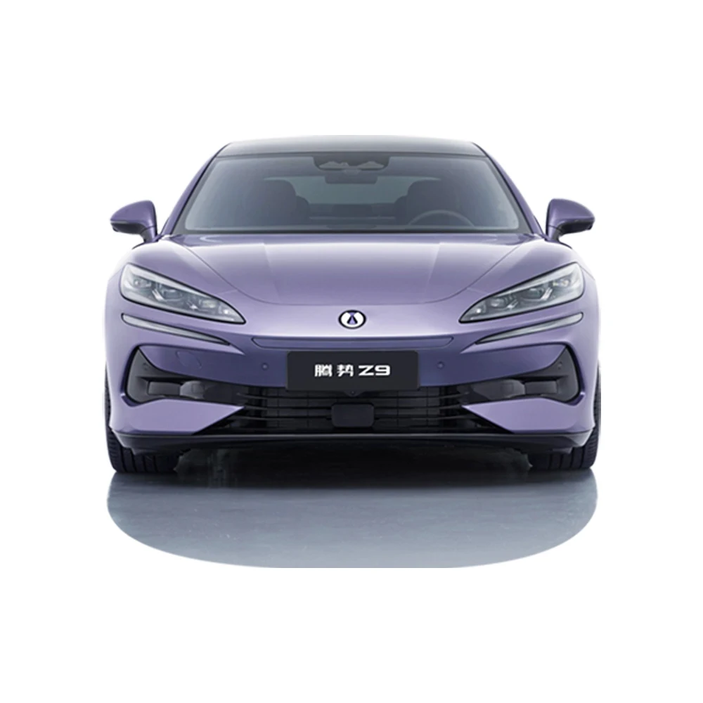 2025 new listing high performance Denza z9 new energy vehicles