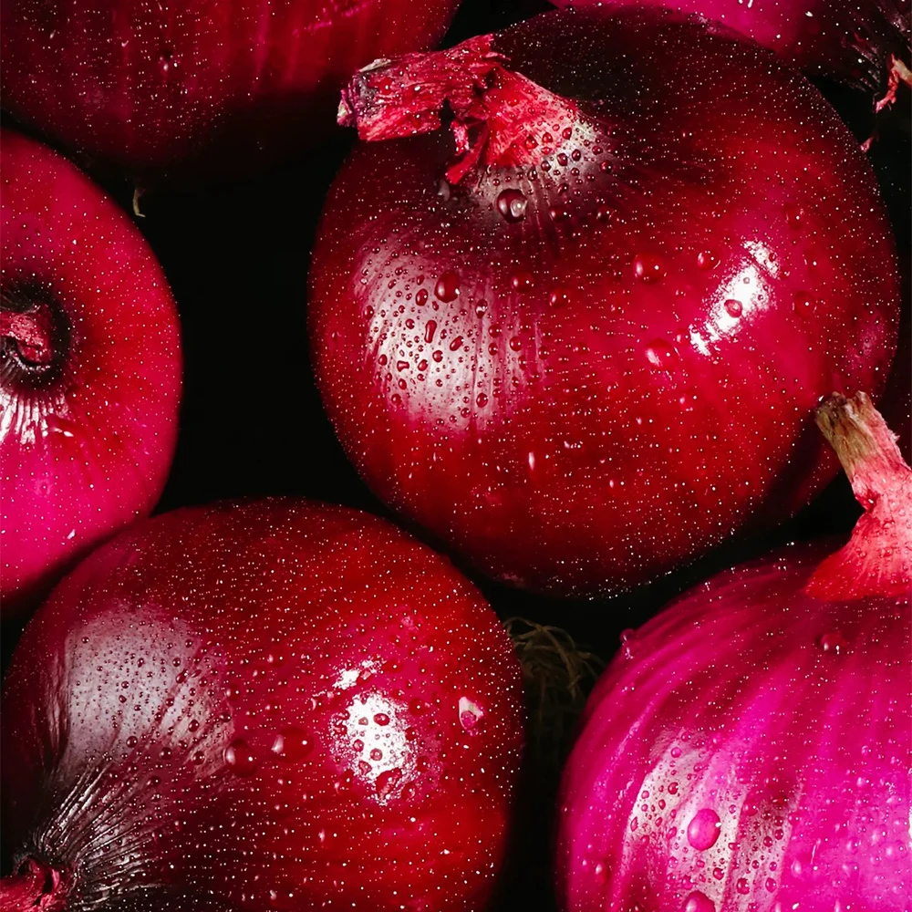 New Crop Fresh Red Onions And Yellow Onion White Price Per Ton In China From Onion Seeds Exporter
