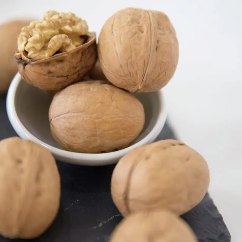 1kg high quality dry fruit raw walnut 185 in shell 185 wholesale price