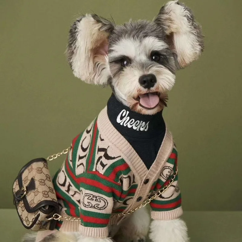 Luxury Autumn and winter simply dog clothes fashion warm wool coat gold edge knitted sweater lovely style for pet