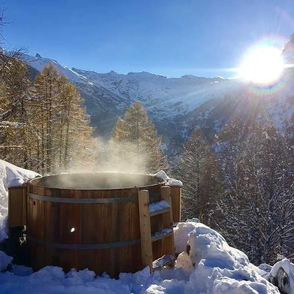 Wooden Outdoor 2 Person Deluxe Wood Fired Hot Tub With Liner Swim SPA