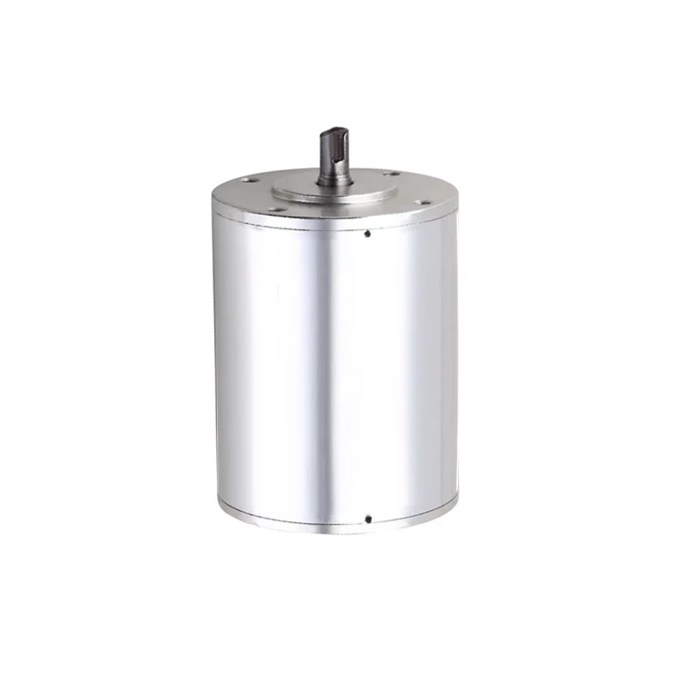 12V 24V 36V Customized brushless dc motor DC brushless motor bldc motor For car
