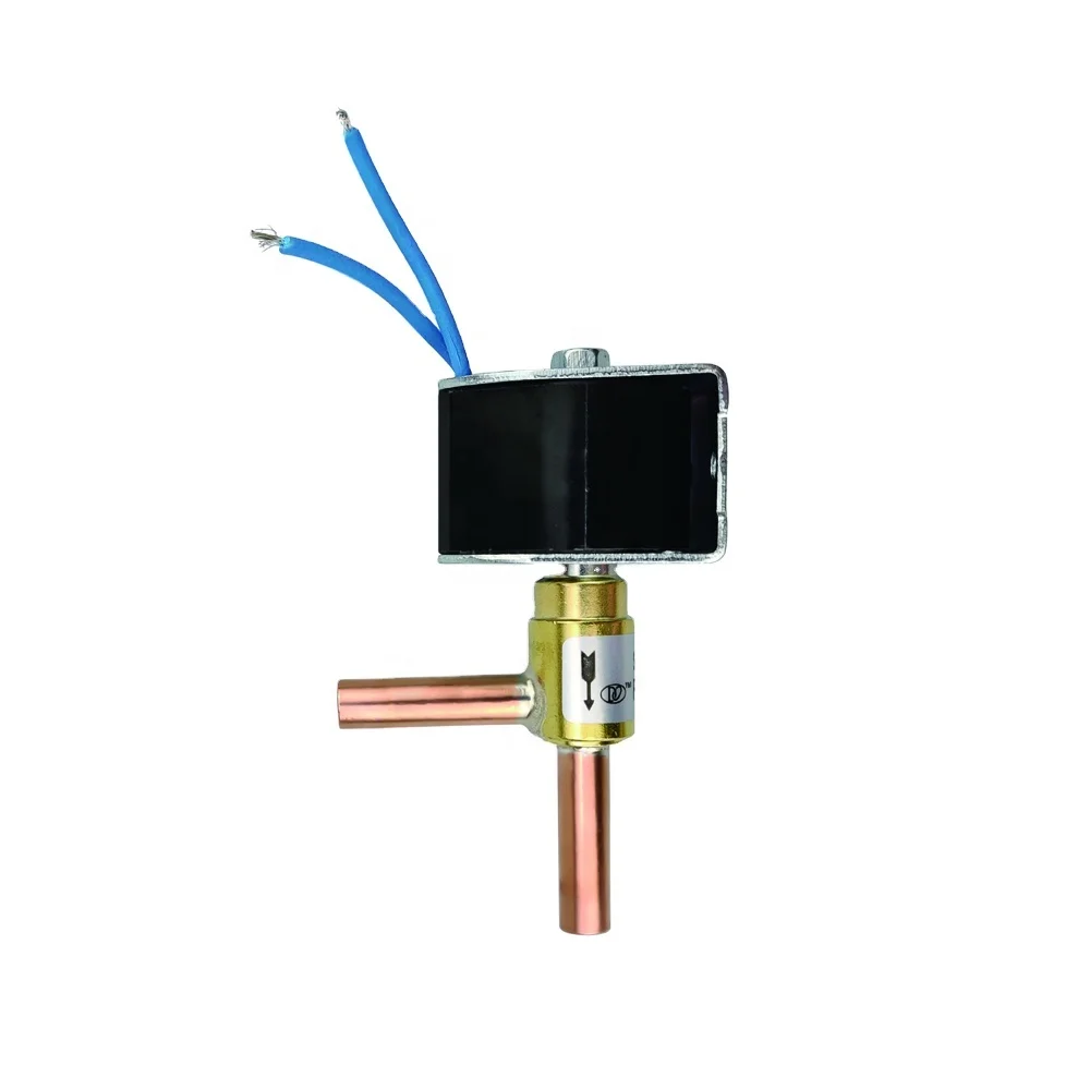 Duling Micro Solenoid Valve AC 220V 110V DC 12V 24V Liquid Line Electric Mini Solenoid Valve