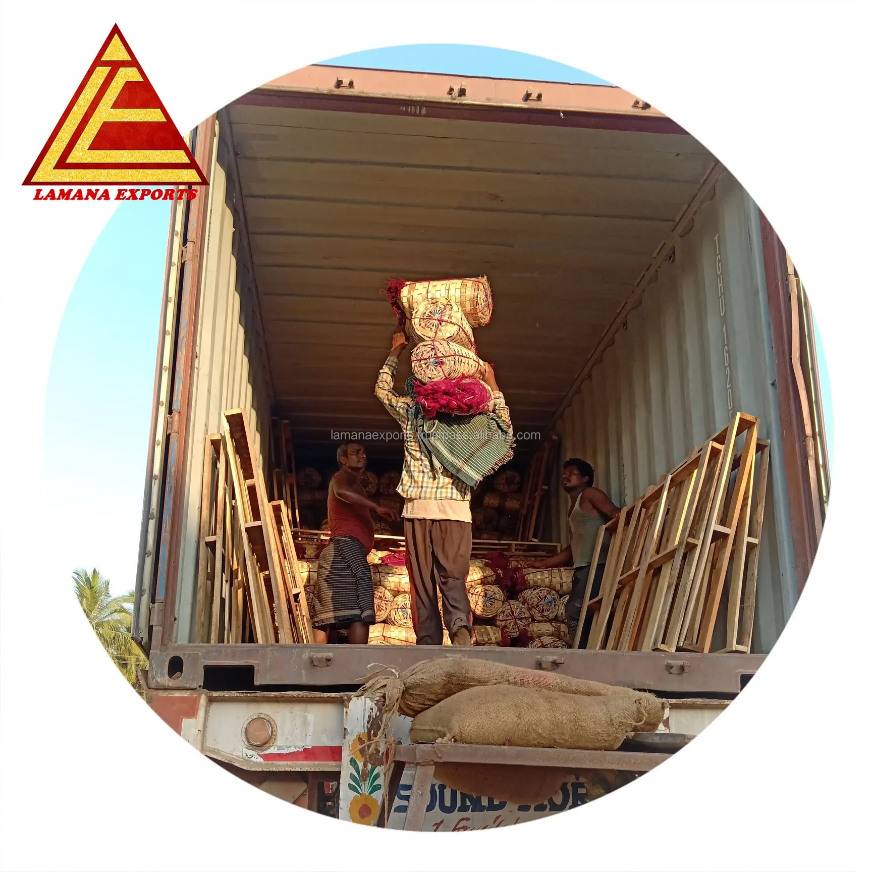 Rose Onion 27mm up Bangalore Rose New Crop for Malaysia Singapore Vietnam Fresh Non-peeled COMMON Round Liliaceous Vegetabless