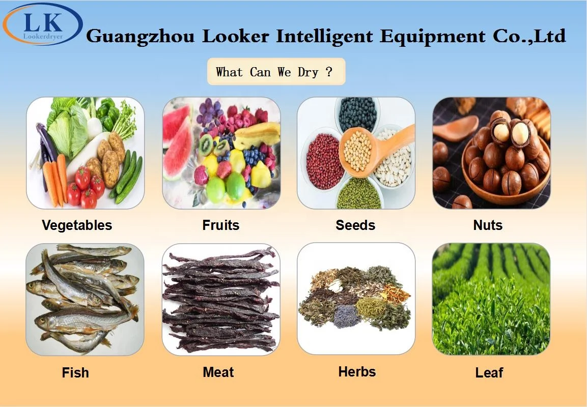 Industrial food dryer machine fruits dehydrator with heat