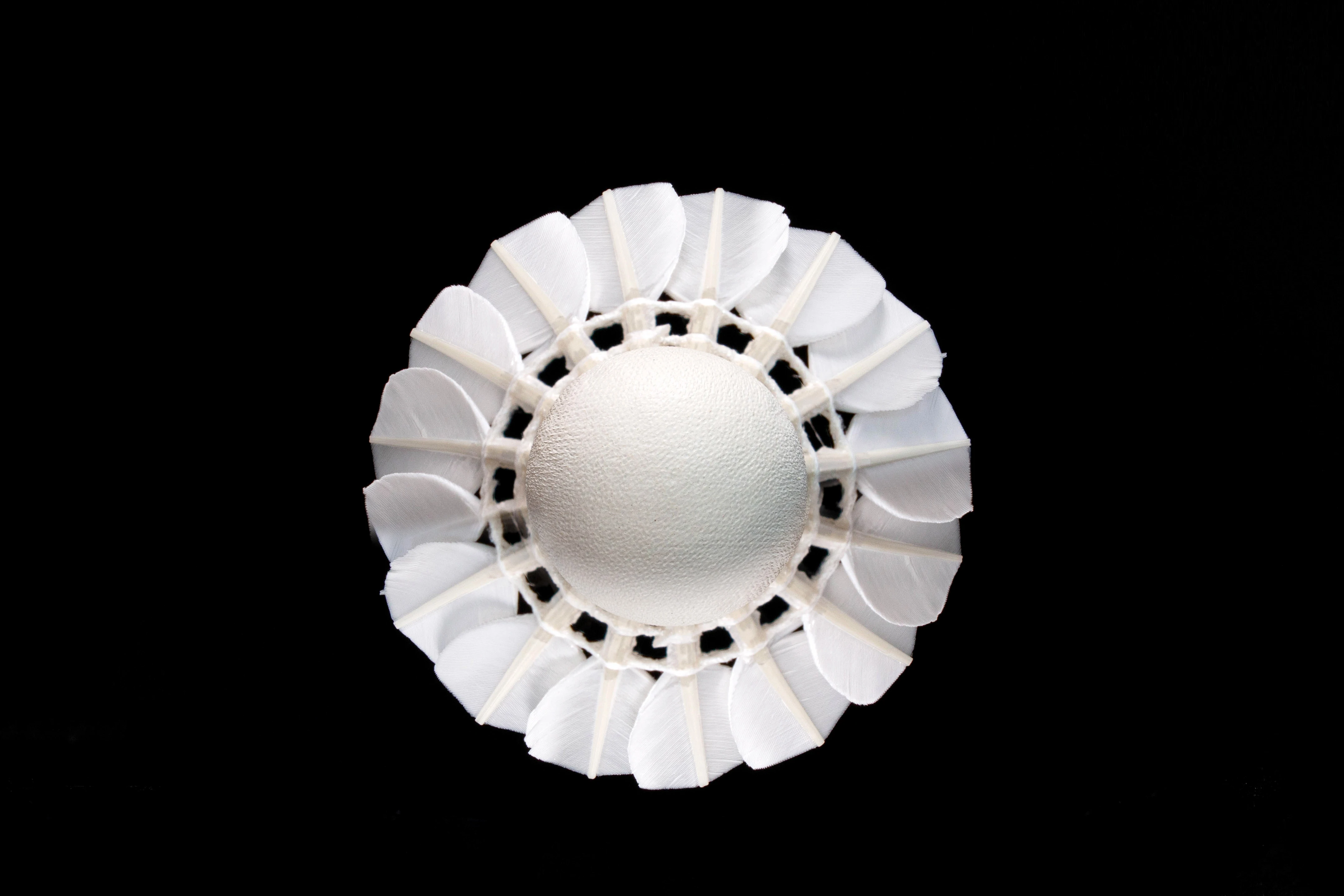 In Stock Own Factory Durable Stable 2024 Olympics LINGMEI-30 Goose Duck Badminton Shuttlecock For Tournament Training Fitness