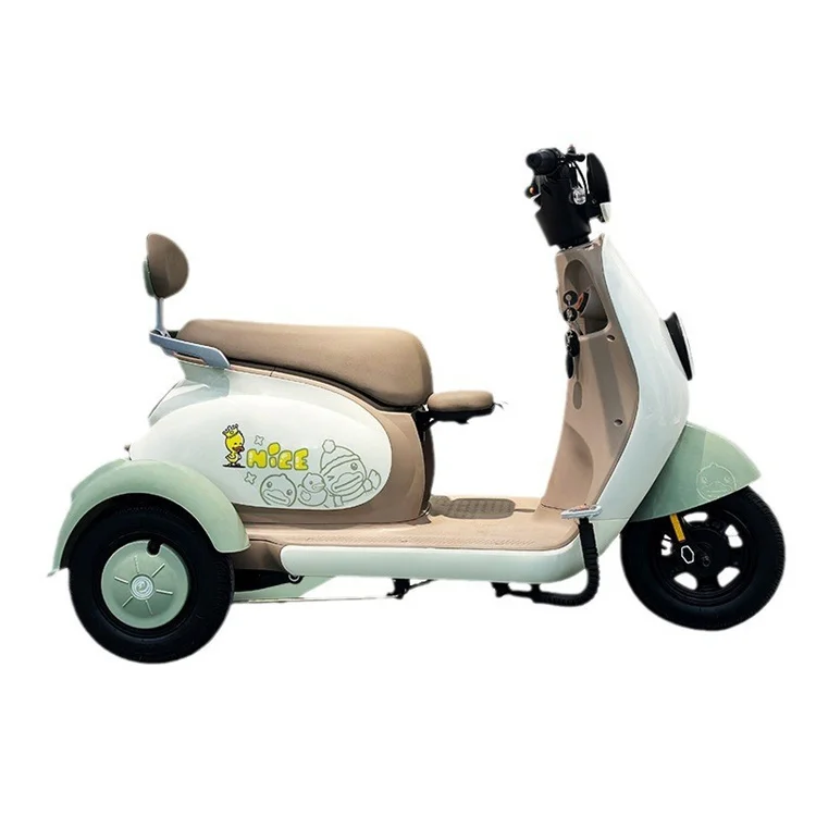 Factory Wholesale Electric Tricycle with Rear Hub Motor 600W 48V Lithium Battery Steel Frame Two Seats Foot Brake Made in China