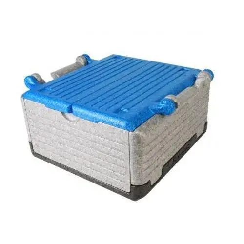 EPP Thermo box Food transportation and insulation Containers
