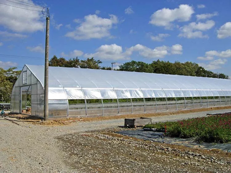 
cheap price tunnel greenhouse plastic sheet film tunnel greenhouse 