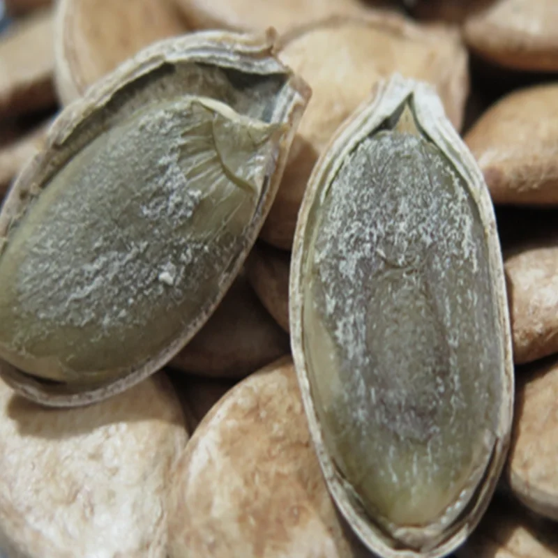 New Crop Butternut Winter Squash Seeds