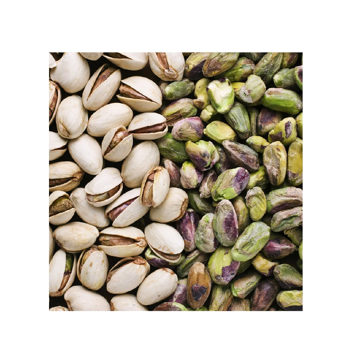 Специальный продукт без ГМО с высоким содержанием белка фисташки высококачественный из Узбекистана фисташевые орехи в скорлупе для пищевых