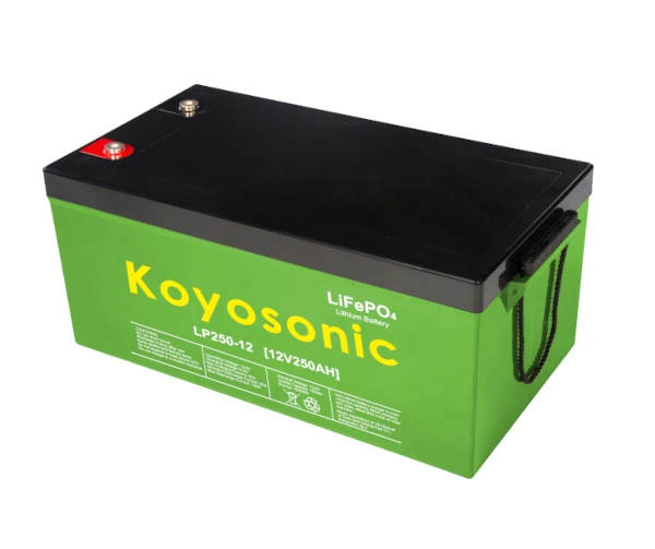 24v 200ah Lifepo4 Pack Lipo Lithium 48 V Litium Ion Battery 48v 100Ah