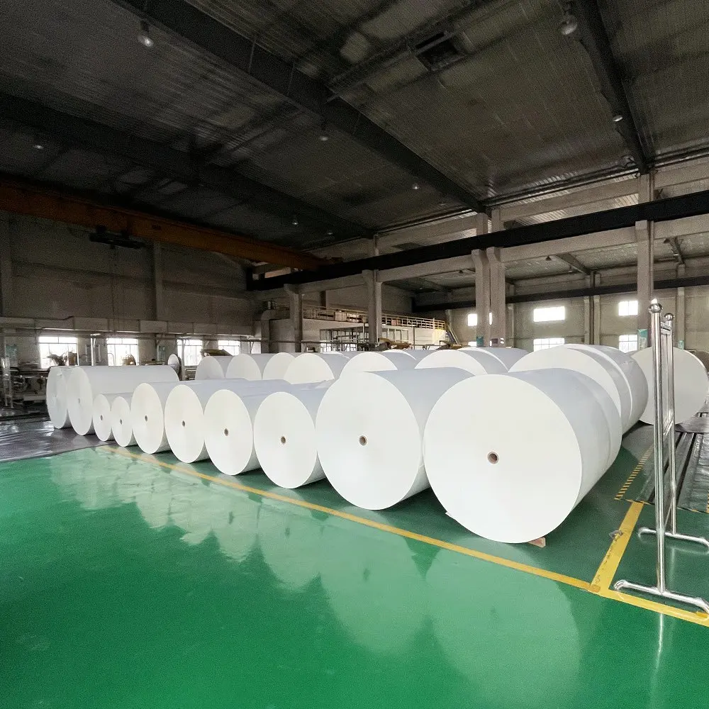 Ningbo Fold FBB C1S  FOLDING BOX BOARD