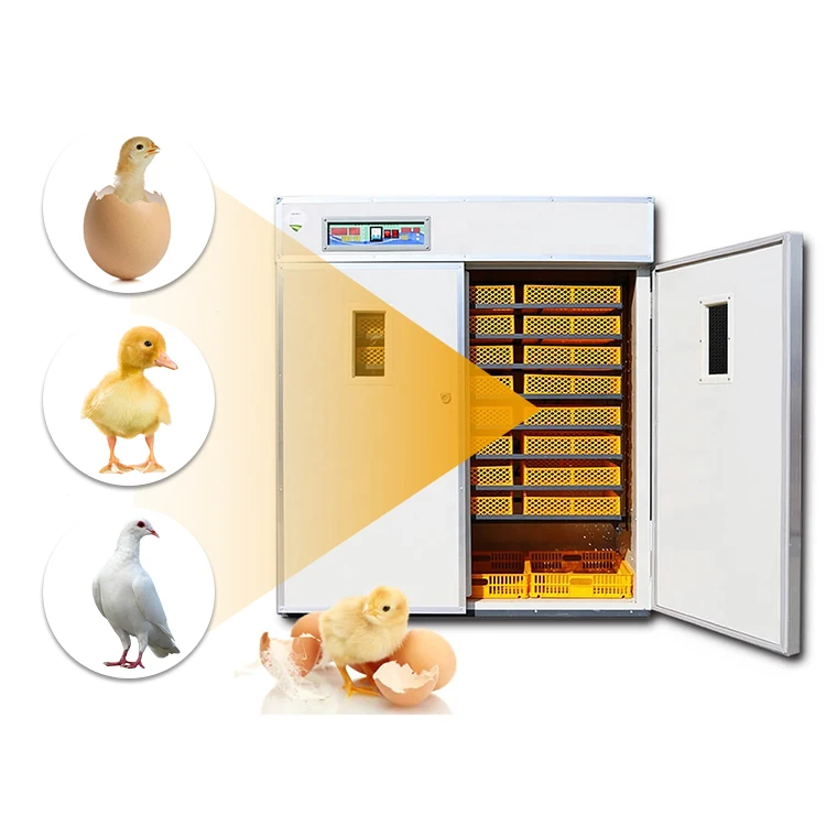 Automatic Hatching solar incubator/ incubators egg/incubator machine for sale