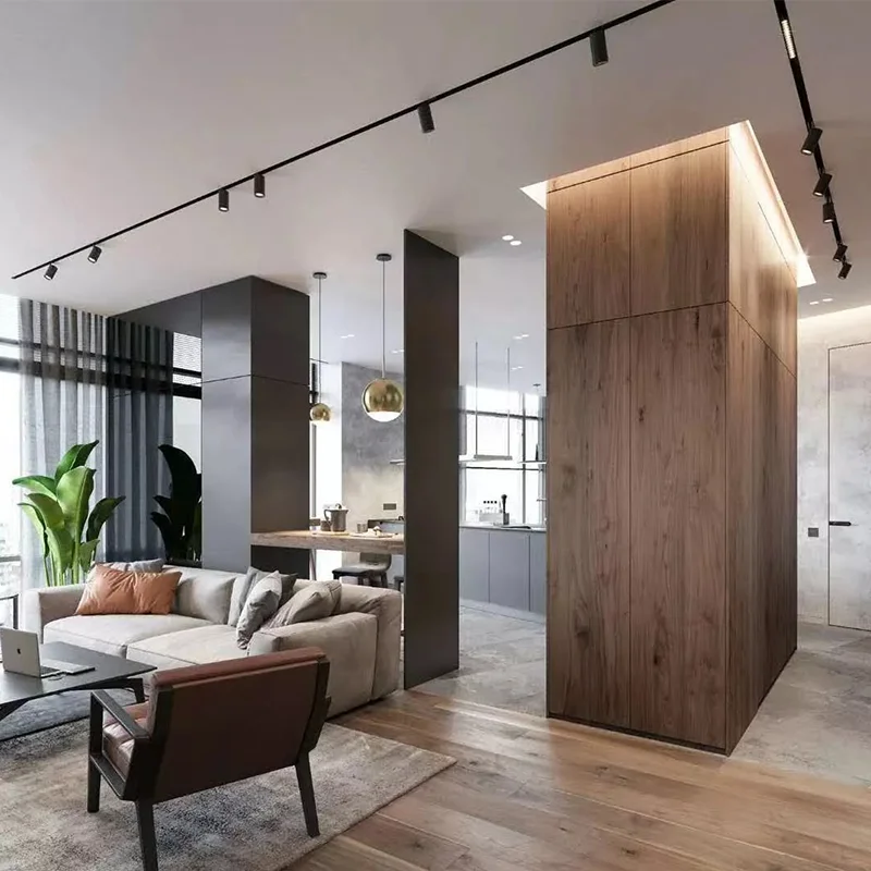 Modern Magnetic Track Light 48V Black Embedded SpotLight Fixtures Linear Rail Tracking Lamp