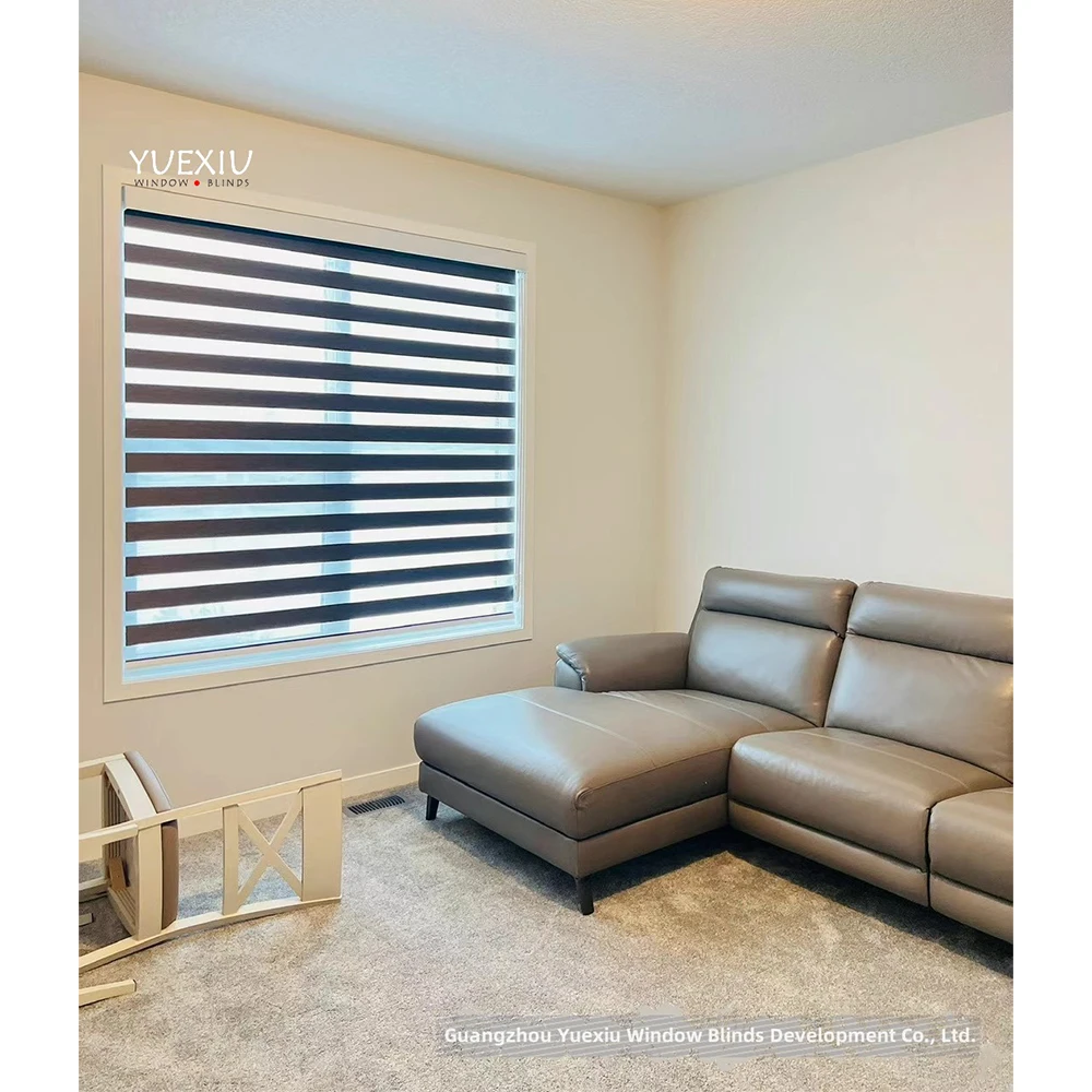 Factory Supply High Quality Roller Blinds Installation Manual Curtains Screen For Living Room Window Zebra Blinds