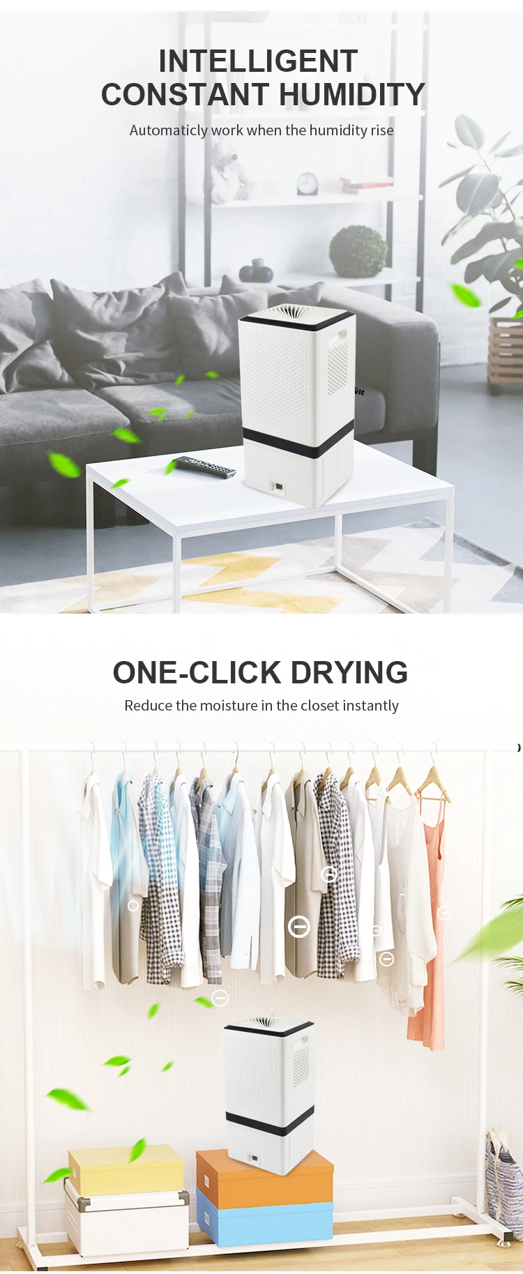 Commercial Mini Hot Sale New Cheap Removable Water Tank Portable Domestic Dehumidifier