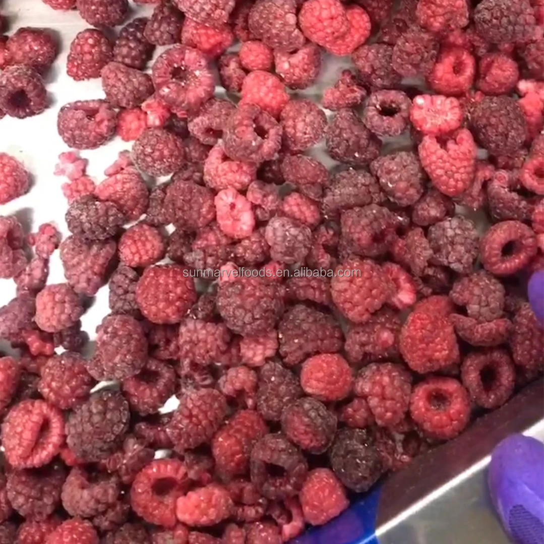 New Crop Brc Certificate IQF Frozen Whole Red Raspberry in Season 10kg