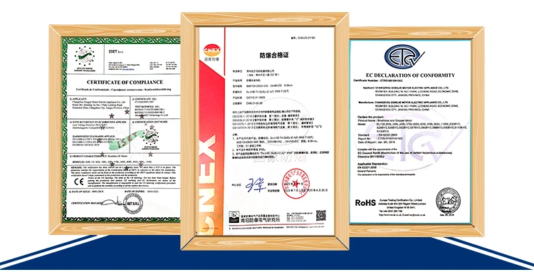 Speed Reducer Gearbox BRUSHLESS DC PLANET GEAR MOTOR