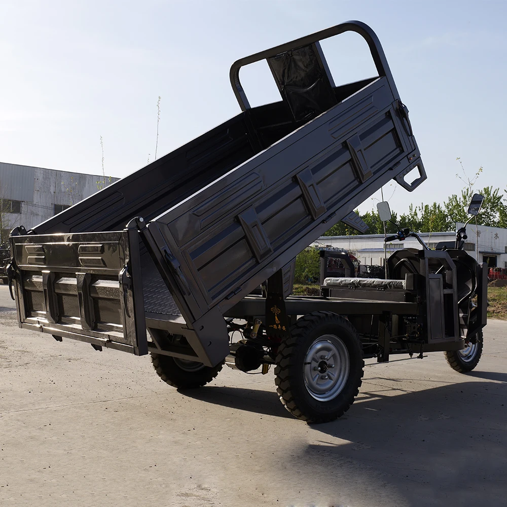 China cheap price 1000W Electric Tricycle motorized tricycles 60V high speed three-wheeled motorcycle Electric Cargo Tricycle