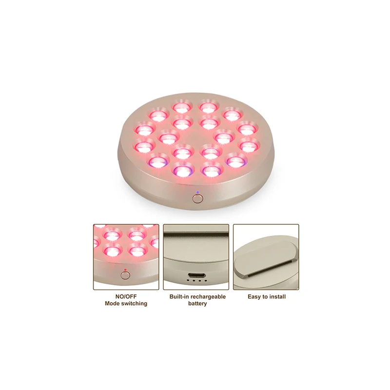 Home Use Beauty Equipment Pdt Platinum Led Red Light Therapy Muscle Recovery For Lips
