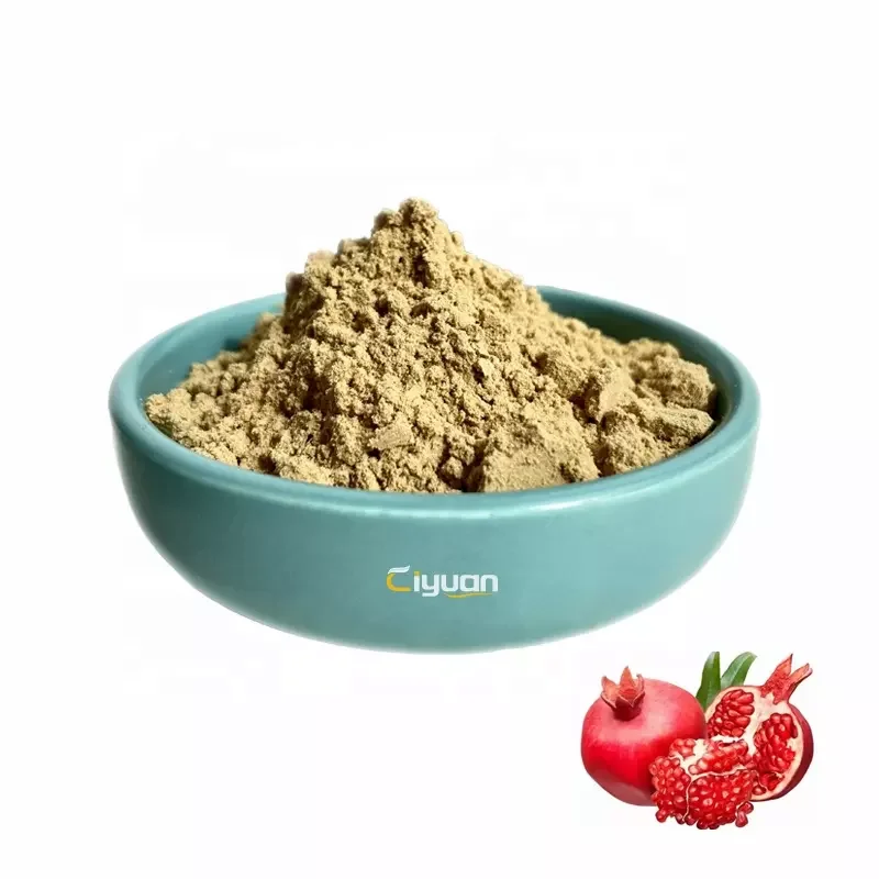 Natural Pomegranate Peel Extract Powder Pomegranate Extract 40% Punicalagin