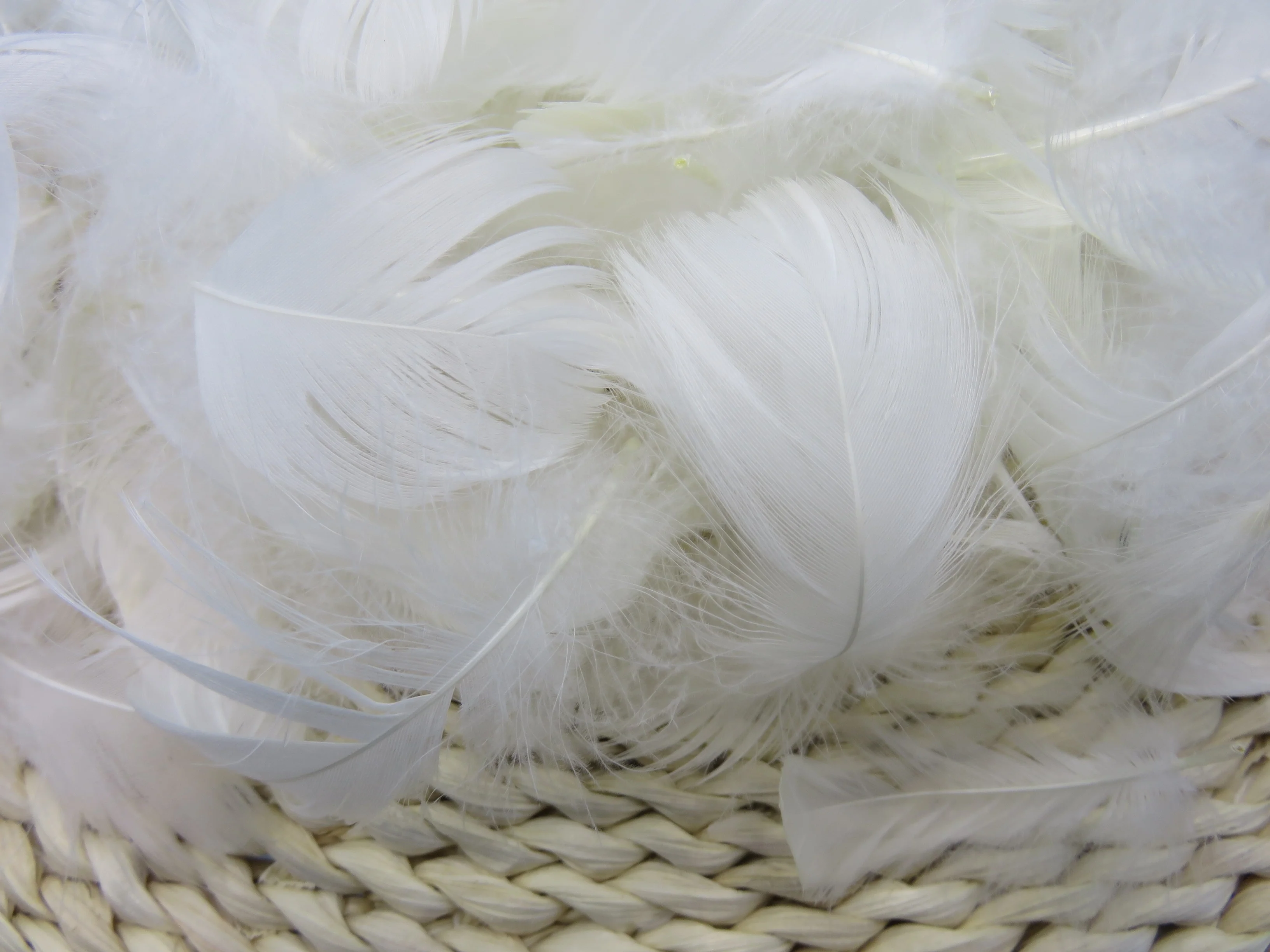 BOLONG High Quality 4-6cm White Goose Feathers Washed Pattern for Fly Tying & Garment Application