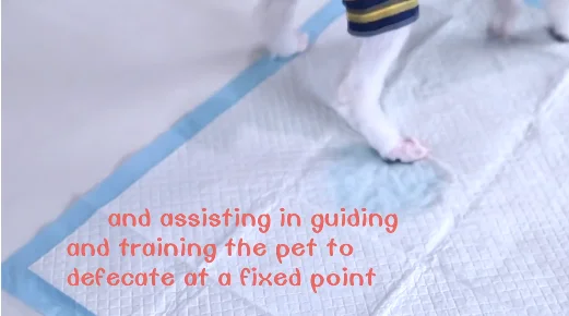Absorbent And Leak-Proof Non-Woven Fabrics Puppy Pads Pet Training Pads